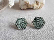 Load image into Gallery viewer, Risa Ocean Wood Stud Earrings