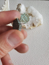 Load image into Gallery viewer, Risa Ocean Wood Stud Earrings